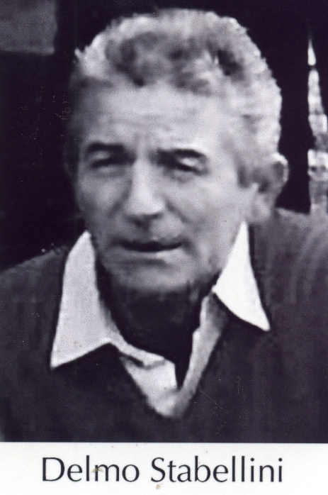Delmo Stabellini